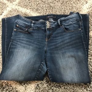 Torrid Premium Jeggings